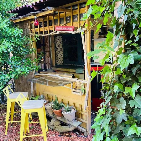 La Bulle Dans Le Palmier Πανσιόν Τουλούζη