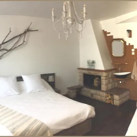 La Bulle Dans Le Palmier تولوز