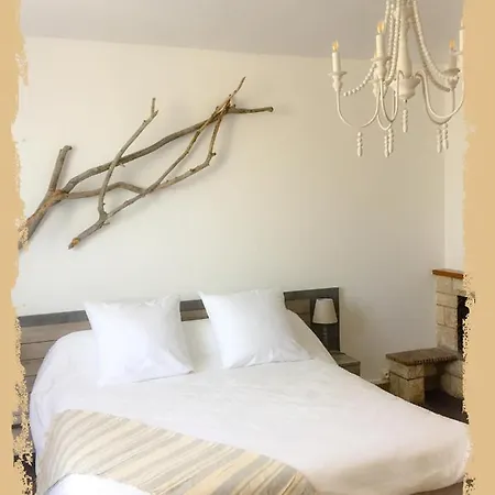 La Bulle Dans Le Palmier 3*