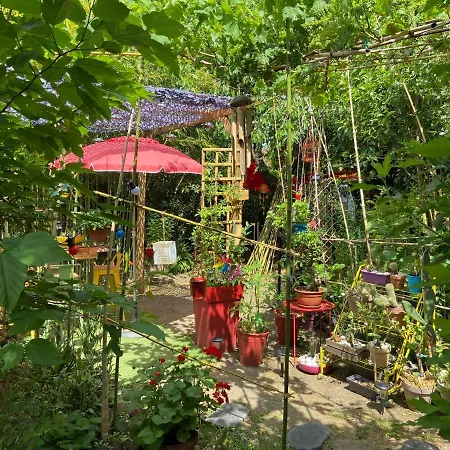 La Bulle Dans Le Palmier تولوز