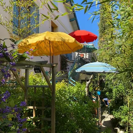 بيت ضيافة La Bulle Dans Le Palmier تولوز