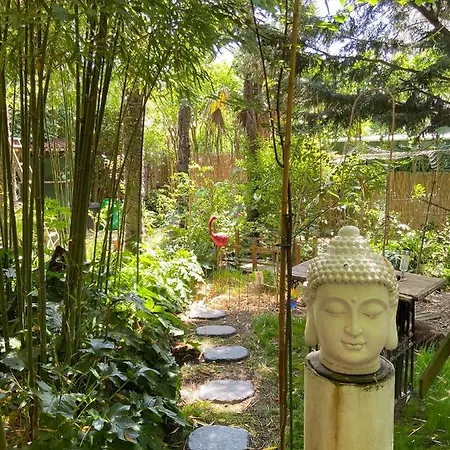 La Bulle Dans Le Palmier Guest house
