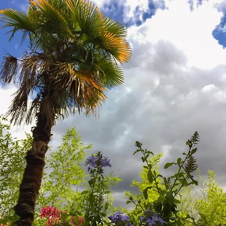 La Bulle Dans Le Palmier 3* تولوز