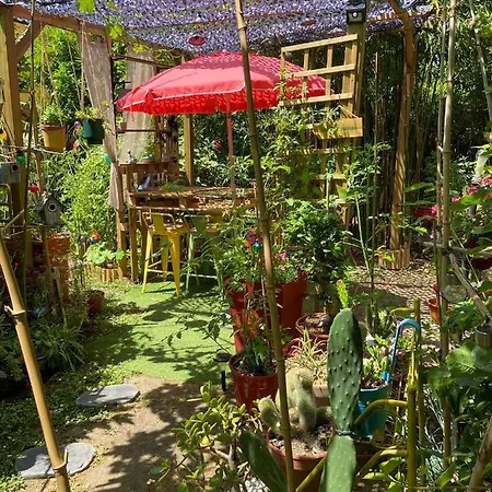 Guest house La Bulle Dans Le Palmier