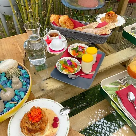 La Bulle Dans Le Palmier بيت ضيافة تولوز