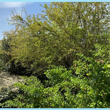 بيت ضيافة La Bulle Dans Le Palmier تولوز