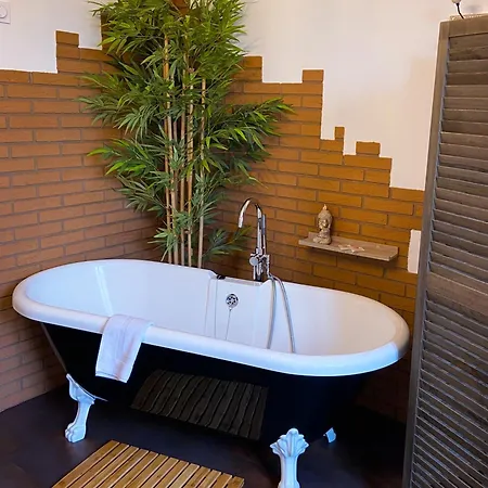 Pensionat La Bulle Dans Le Palmier Toulouse