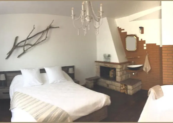 La Bulle Dans Le Palmier Toulouse