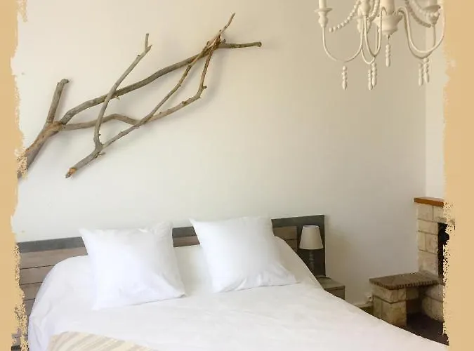 La Bulle Dans Le Palmier 3*