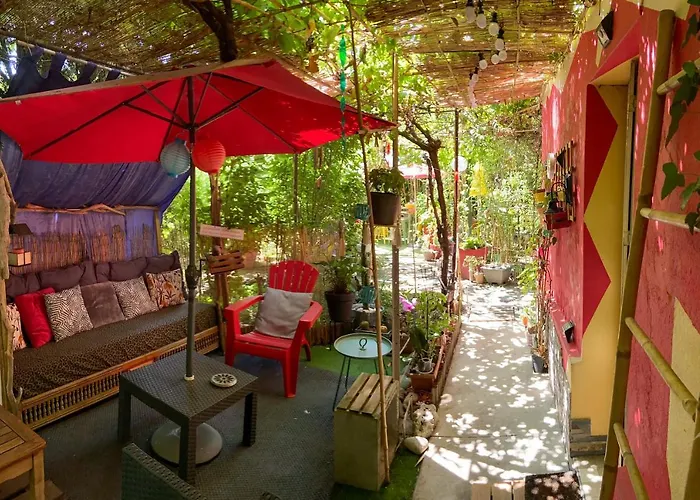 La Bulle Dans Le Palmier Toulouse