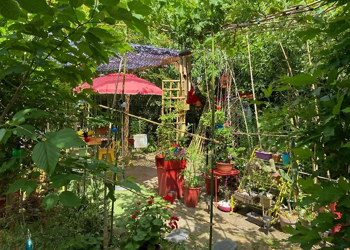 La Bulle Dans Le Palmier Тулуза