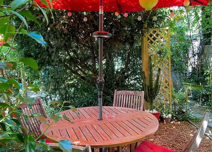 La Bulle Dans Le Palmier Toulouse