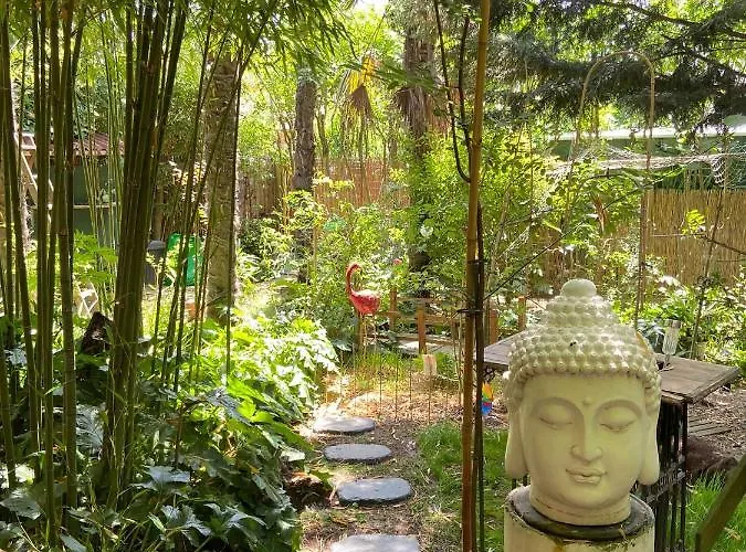 La Bulle Dans Le Palmier Maison d'hôtes