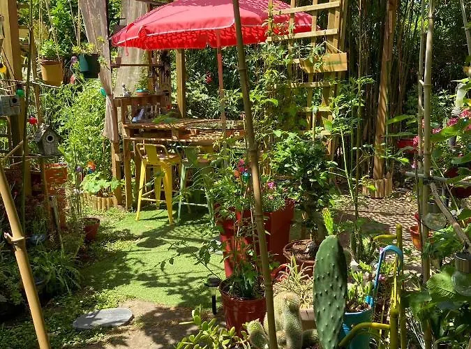 Maison d'hôtes La Bulle Dans Le Palmier