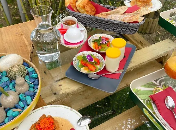 La Bulle Dans Le Palmier Гостевой дом Тулуза