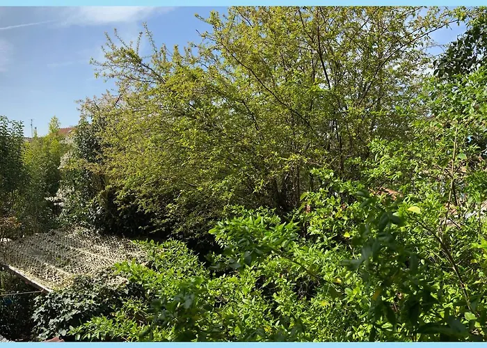 Maison d'hôtes La Bulle Dans Le Palmier Toulouse