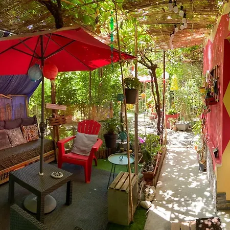 La Bulle Dans Le Palmier Toulouse